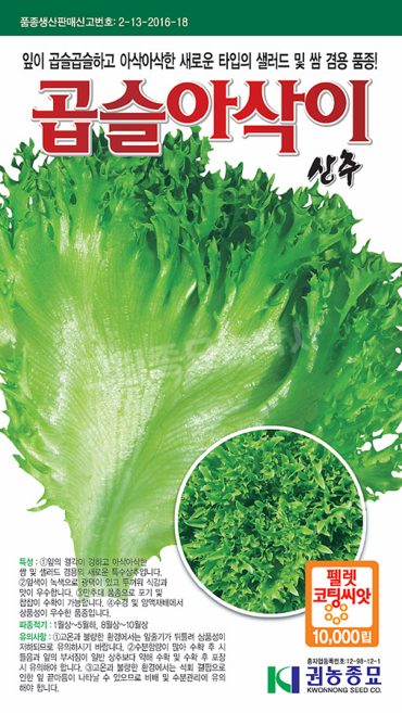 상추 씨앗 샐러드용 상추 종자 곱슬아삭이 상추 1만립 10000립 권농종묘 쌈용 쌈채소, 1개