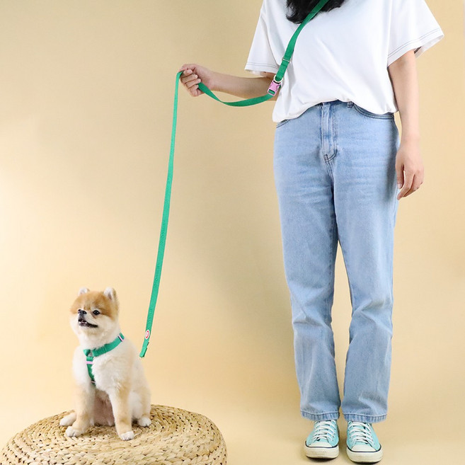 [아스터슈] 컴피리쉬 강아지 산책용 리드줄, YELLOW+BLUE, 1개