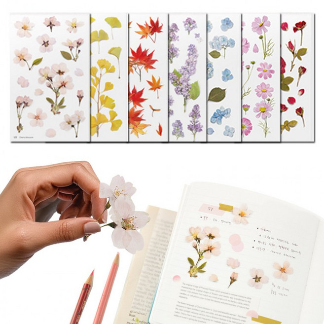 식물 꽃스티커 압화 다이어리 꾸미기 벚꽃 다꾸, 1개