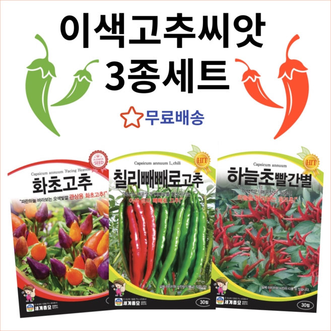 주주씨앗 동남아 이색고추 3종세트 / 화초고추 칠리빼빼로고추 하늘초빨간별 하늘고추, 1개