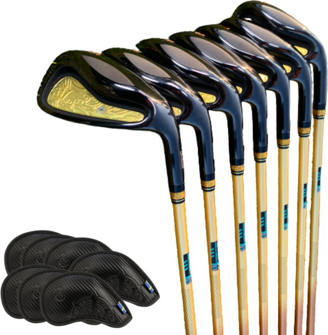 히메지몬자 세라믹 블랙스톤 카본 7I 남성 아이언세트 비거리 골프채 풀세트 5~SW, 블랙스톤 카본 7I 아이언세트 SR