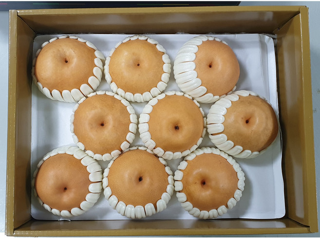 고샤인 고당도 프리미엄 나주 배(신고) 산지직송 특품 선물용, 1박스, 특품 5kg (8-10과)