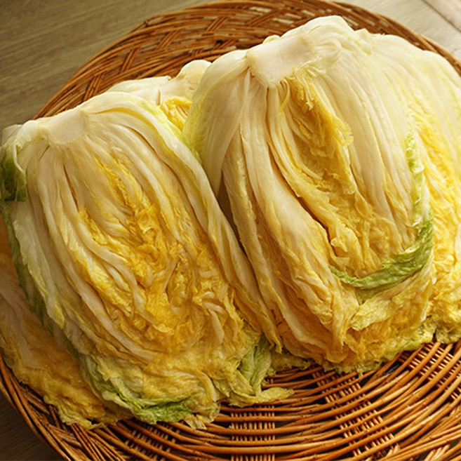 국내산 국산 배추 절임 배추 전국 배추 연중 생산 고랭지 배추, 3kg, 1개, (오전 9시 이전 주문시 당일출고)
