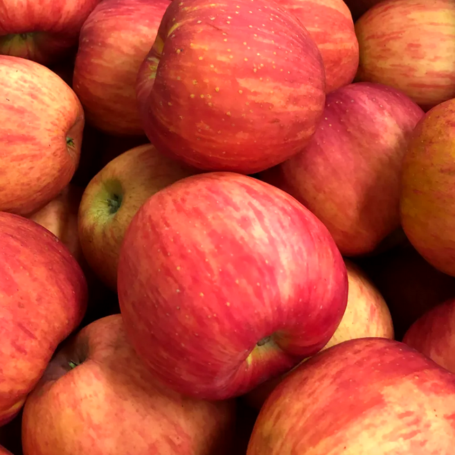 [하루딱100박스] 단독특가 고당도선별 가정용 꿀 부사 사과, 1개, 2kg