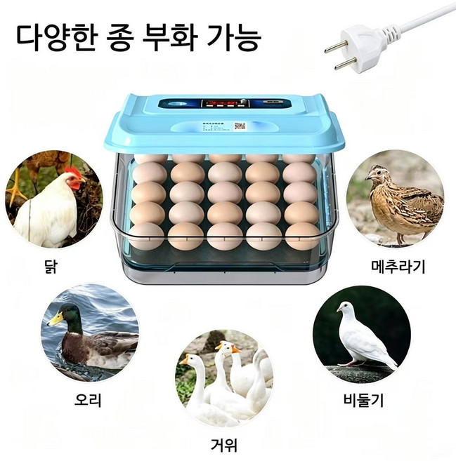자동 부화기 가정용 미니 계란부화기 온도조절 병아리 오리 거위 메추리 알 알부화기, S(약 10개의 달걀)