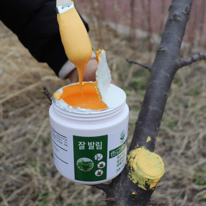 톱신페스트 나무 상처 수목 보호 도포제 치유 분재 식물 연고제 소나무 전정, 오렌지 500g, 1개