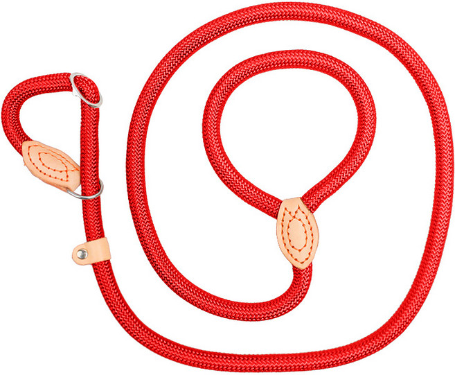 애견 반려견 일체형 리드줄 M 강아지 훈련용 산책 목줄 소형견 중형견, 1개, 레드