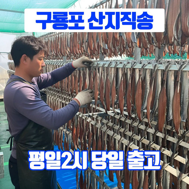 어부의뜰 포항 구룡포 과메기 진공포장 꽁치 햇과메기 밀키트, 1개, 20미 40쪽 단품