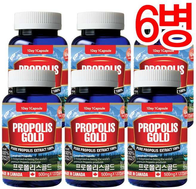 통라이프 프로폴리스골드100%-4개월분 (향균작용 항산화)-6병, 120정, 6개