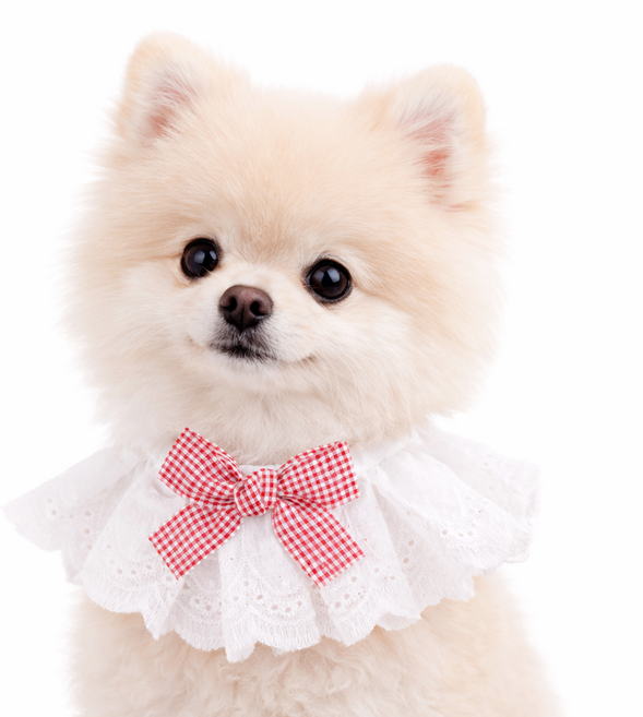 렛츠독 고양이 강아지 하이디 공주 레이스 체크리본 스카프 턱받이, 1개, 레드체크