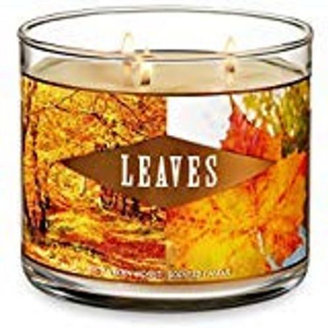 Bath & Body Works 3-Wick Scented Candle in Leaves 배스 앤 바디 웍스 3심 향초 잎사귀, 1개, White Candle
