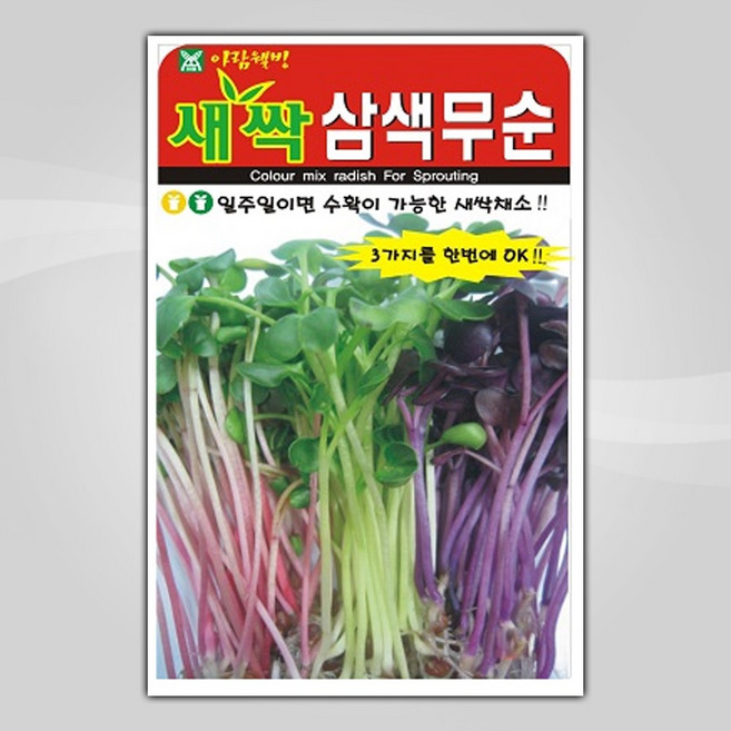 슬로시 새싹 씨앗 보리 다채 귀리 비빔용 청경채 경수채, 1개