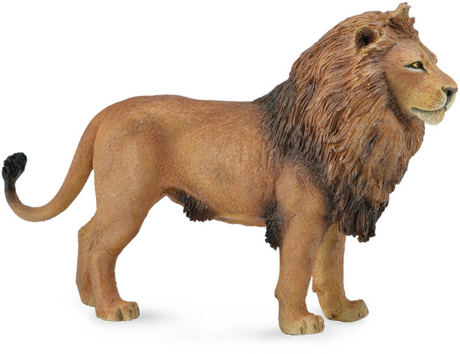 컬렉타 아프리카 숫사자 88782, 1개