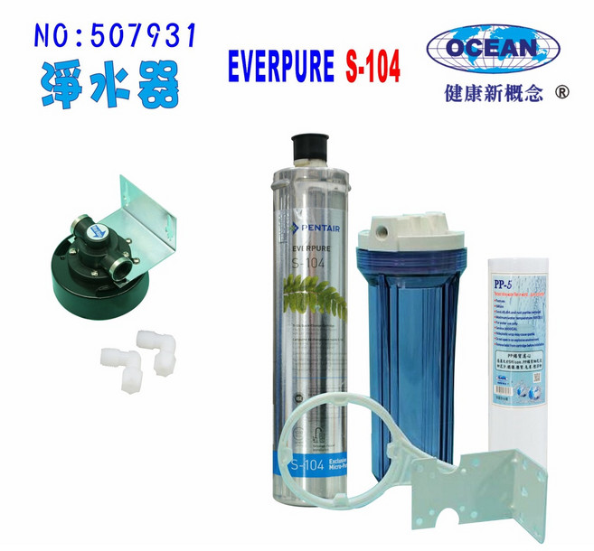 Everpure S104綜合淨水器搭配304不鏽鋼鵝頸龍頭 有效濾除雜質 提升飲水口感 簡約時尚設計, 1個
