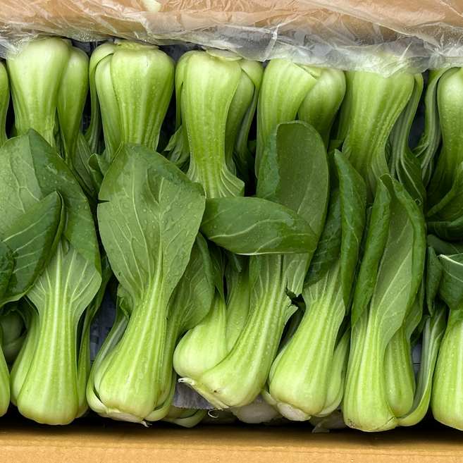 대아프레시 야채 아저씨네 국내산 신선 아삭한 잎채소 청경채 300g 500g 1kg 2kg 4kg, 1박스