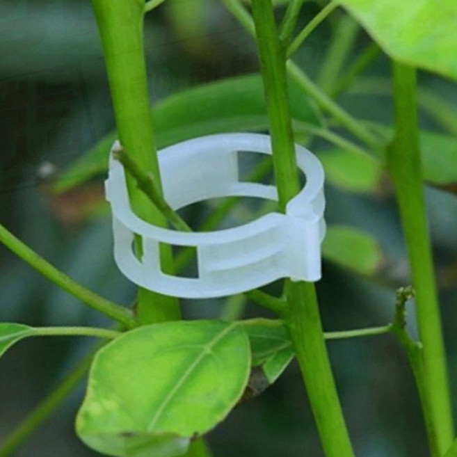 나뭇가지 처짐방지 식물 줄기 원예클립 고정 클립 지주대 50개입 가든용 가지 정리, 1개