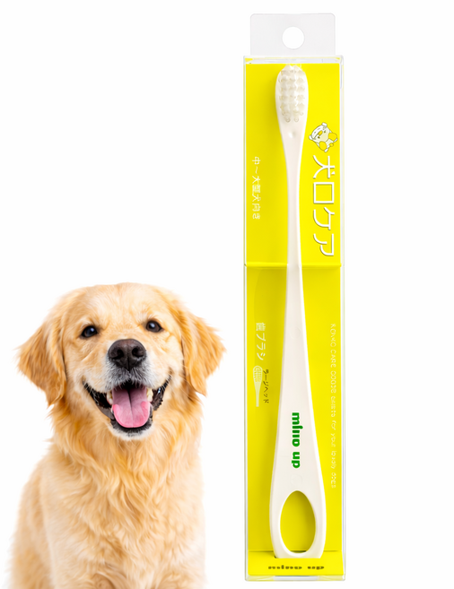 일본 마인드업 켄코케어 강아지 칫솔 라지헤드 (중형견. 대형견 전용), 강아지용, 1개