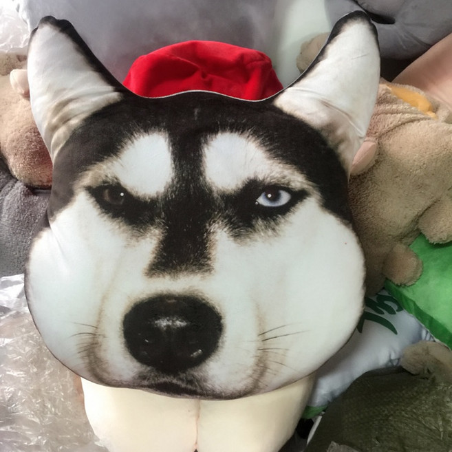 3D立體狗抱枕 暖手枕, B, B