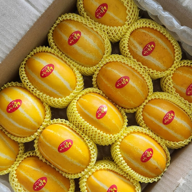 이경농원 성주참외 산지직송 고당도 꿀참외 당도선별 가정용 선물용, 1박스, 3kg