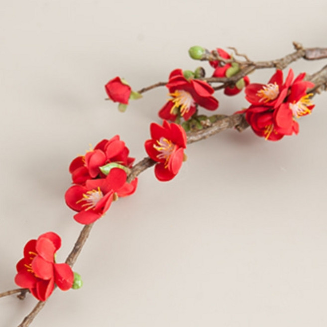 봄조화 매화, 1개, 63레드