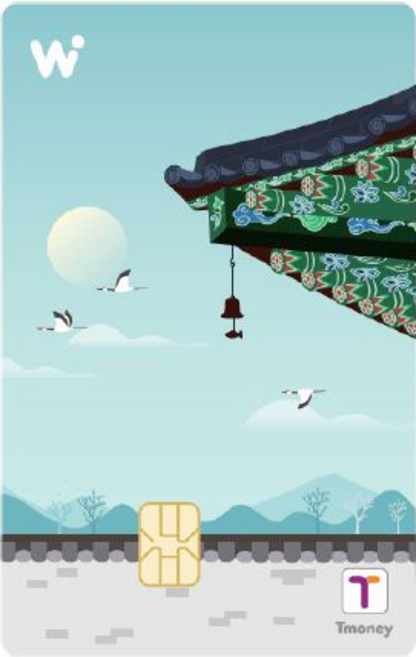 티머니 트래블 카드 플러스, 1개