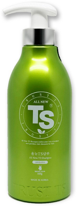 TS 올 뉴 TS 샴푸, 500g, 1개
