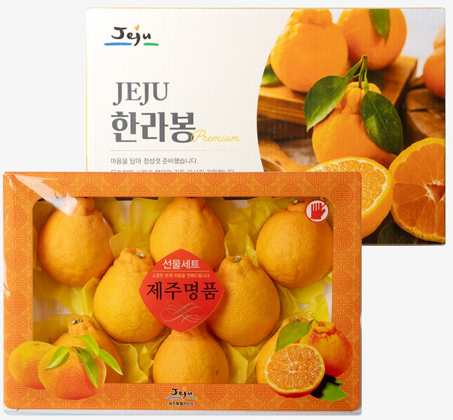 제주하우스 벨롱벨롱 제주 한라봉 선물세트 (20과 내외), 1박스, 4.5kg