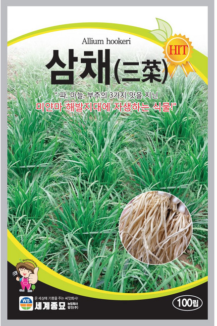 세계종묘 삼채 씨앗 100립, 1개