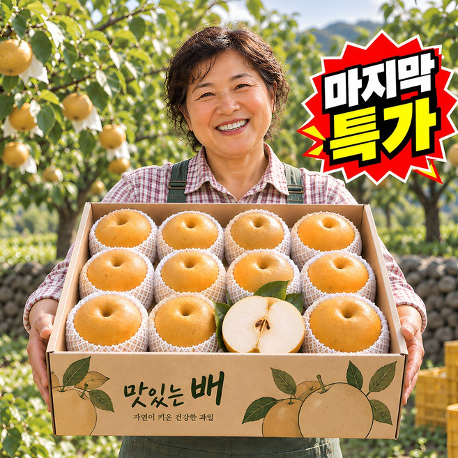 2위 - [진짜최저가특가] 최대16brix 고당도 나주배 가정용, 1박스, 5kg
