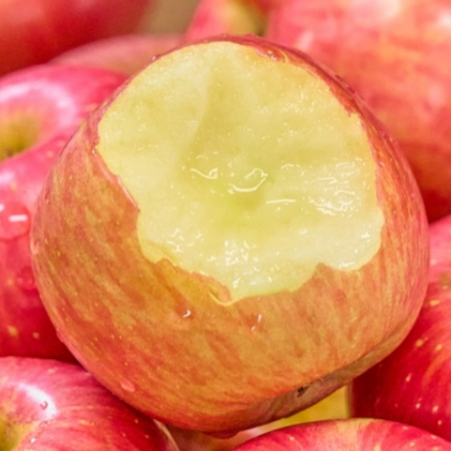 [역대최저가도전] 50박스한정 황금당도 꿀brix 부사사과, 1박스, 2kg