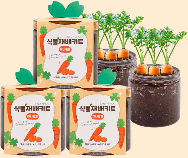 마마픽스 이지그로우 식물재배키트 3개 세트(11종), 재배키트-미니당근3개