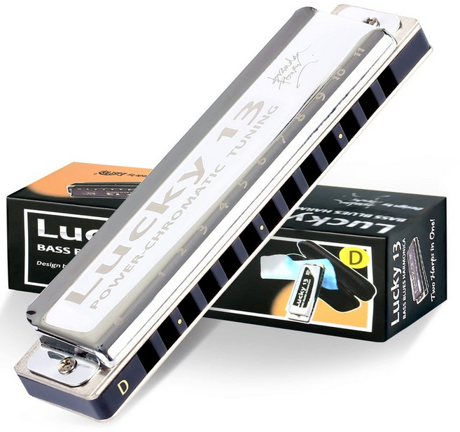 East top 하모니카 브루스 하모니카 13홀 D찜 재즈 전문가 어른용 어린이용 공부 연습용 황동 커버 캔버스 케이스 Lucky13 (PowerChromatic-D), 1개