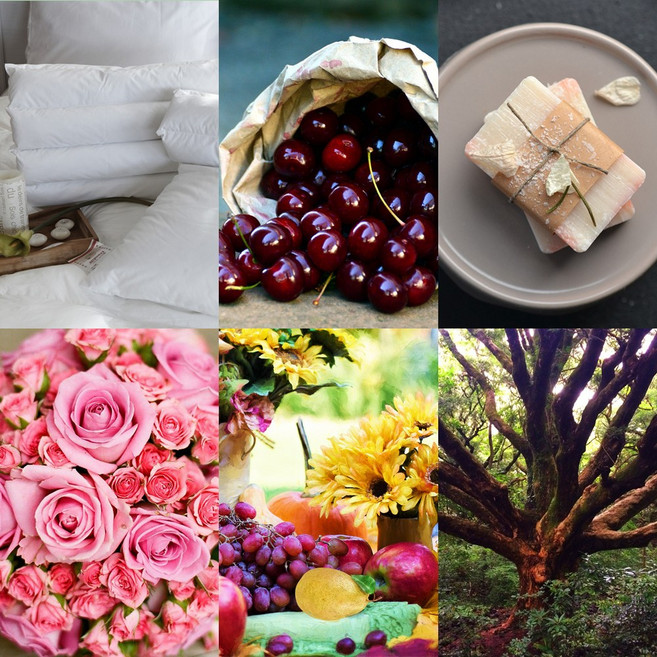 프래그런스 오일 6종향 500ml1L 캔들 디퓨저 만들기 향료 재료, 프루티 플로랄 머스크 1L, 1개, 500ml