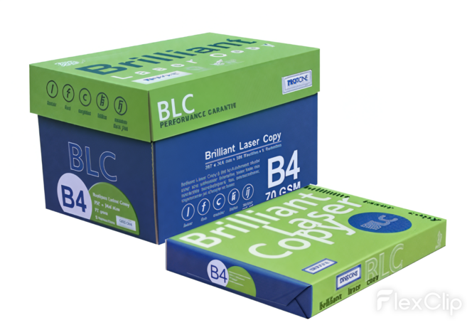Brilliant Laser Copy 影印紙, 5包, B4