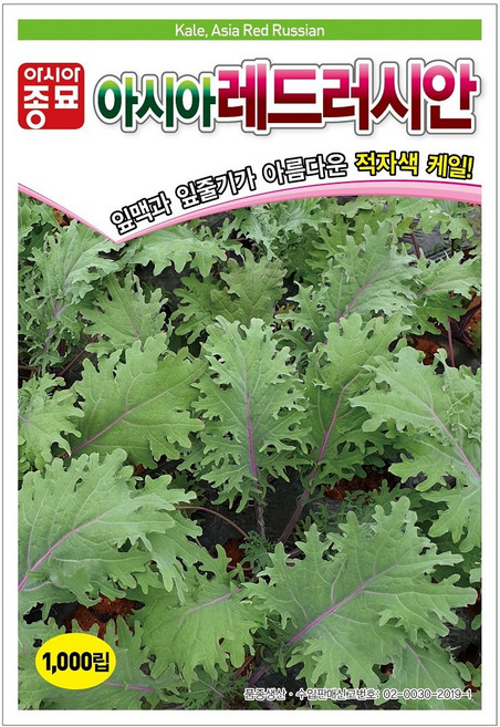 아시아종묘 아시아레드러시안 케일 씨앗 1000p, 3개