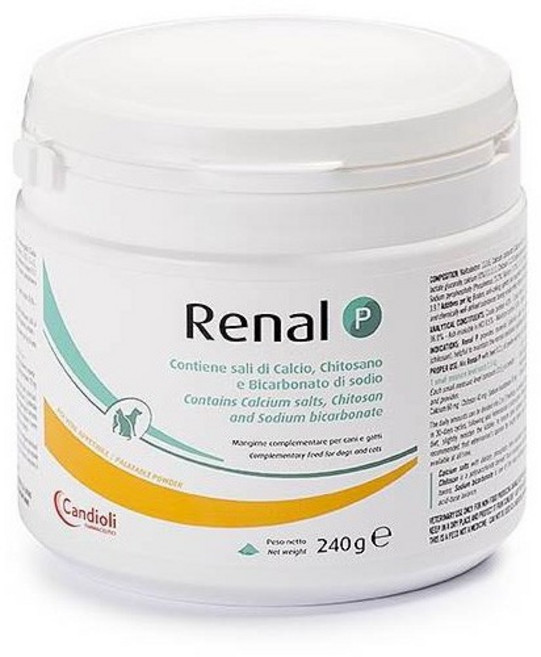 레날 P 반려견/반려묘 신장 영양제 240g, 1개