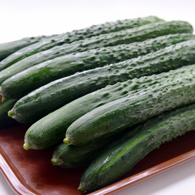 영태푸드 국내산 취청오이, 1박스, 4kg