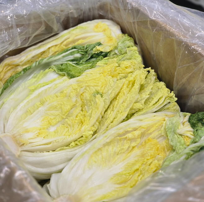 강원도 행복한 절임배추 고랭지 절임배추 김장배추 도착일 지정 안됩니다 [BZ], 10kg, 1박스, 강원도절임배추