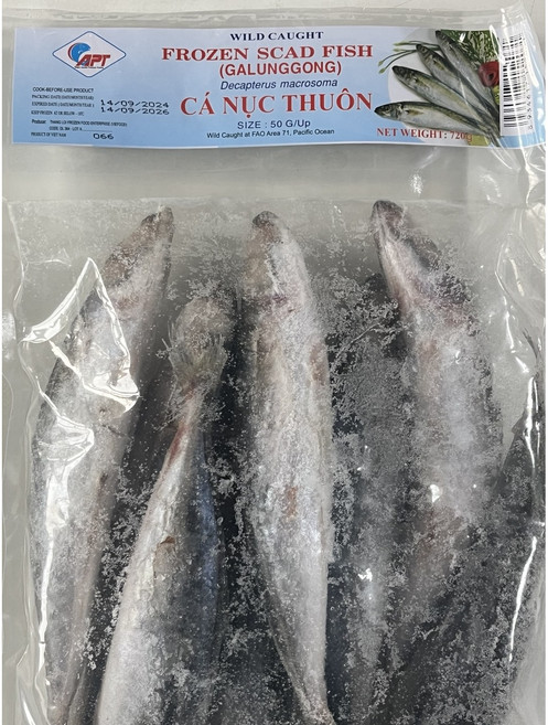 전갱이 가라지 스캐드피쉬 갈룽공 냉동 GALUNGGONG ca nuc thuon scad fish frozen, 1개, 720g