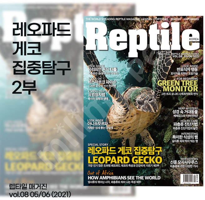 렙타일 매거진 8호
