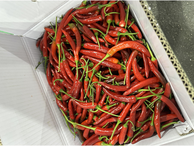 채소킹 국내산 못난이 홍고추, 1박스, 1kg