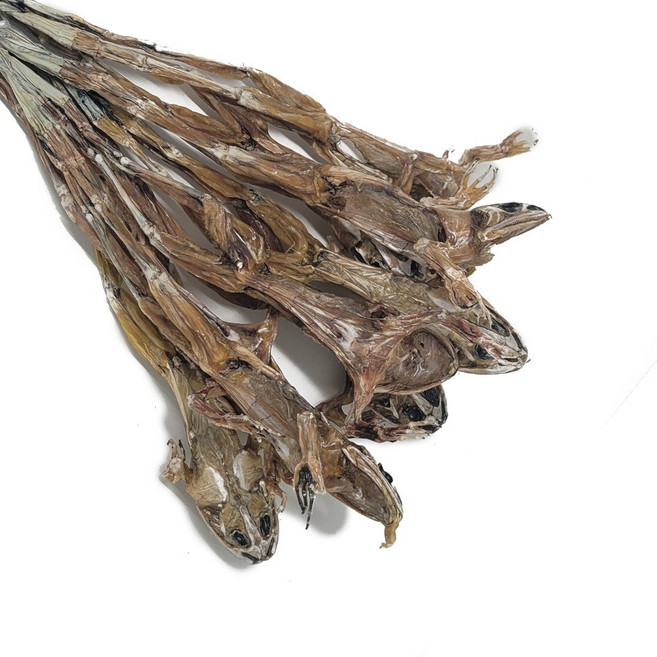 말린 황소개구리 (특대) 국내산, 30g, 1개