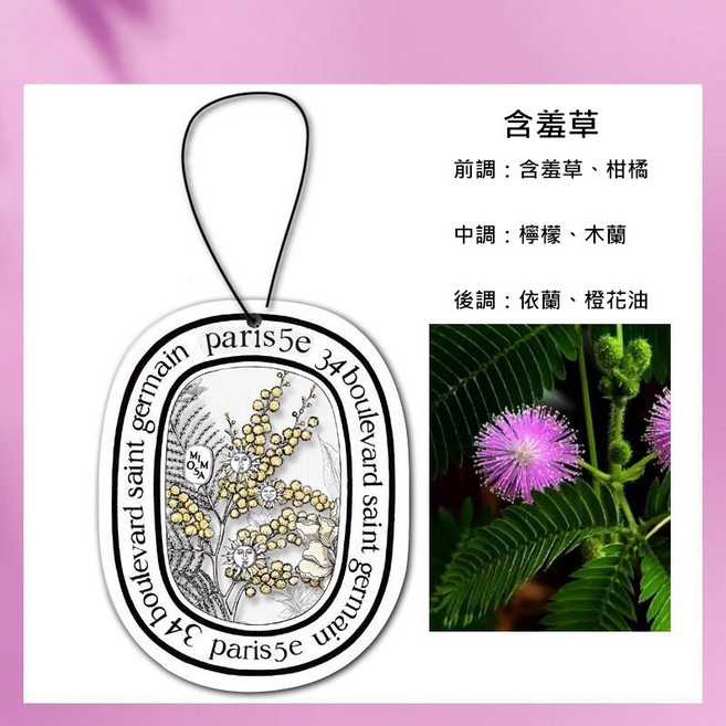 車用掛式香氛片 法式植系香氛 清新除臭 衣櫥芳香, 含羞草, 1個