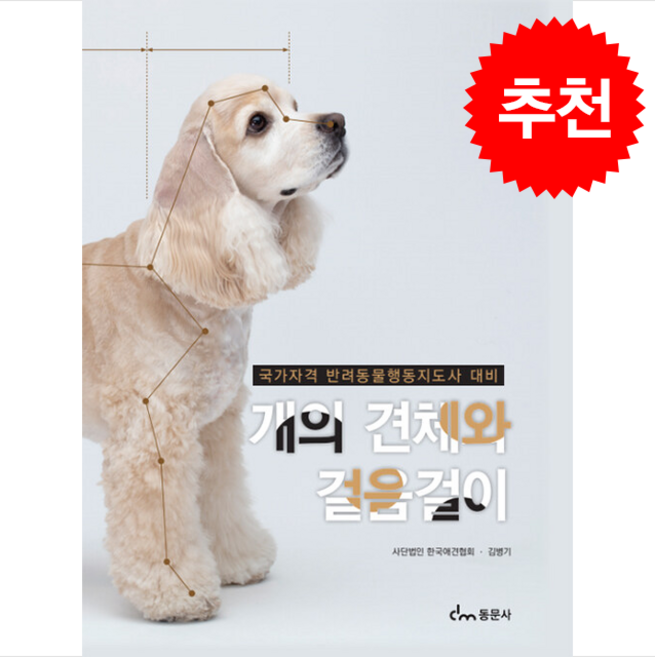 개의 견체와 걸음걸이, 동문사