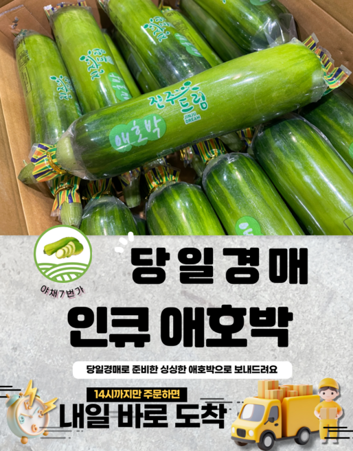 야채7번가 부드러운 애호박 당일경매, 1박스, 20개