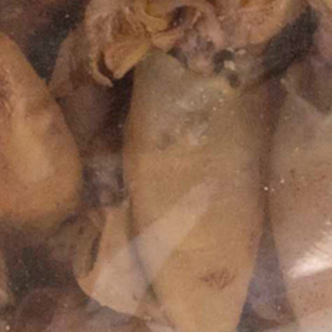 남해안 자연산 건꼴뚜기 밑반찬 술안주 볶음용 마른꼴뚜기 1kg, 1개, 상세페이지 참조