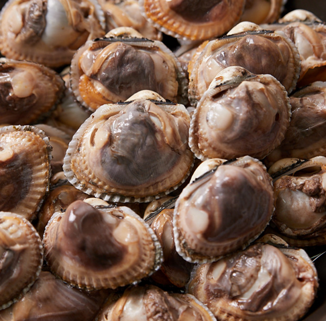 [산지직송] 당일조업 싱싱한 벌교 새꼬막 여수 제철 꼬막, 1개, 중 5kg (400-450미내외)