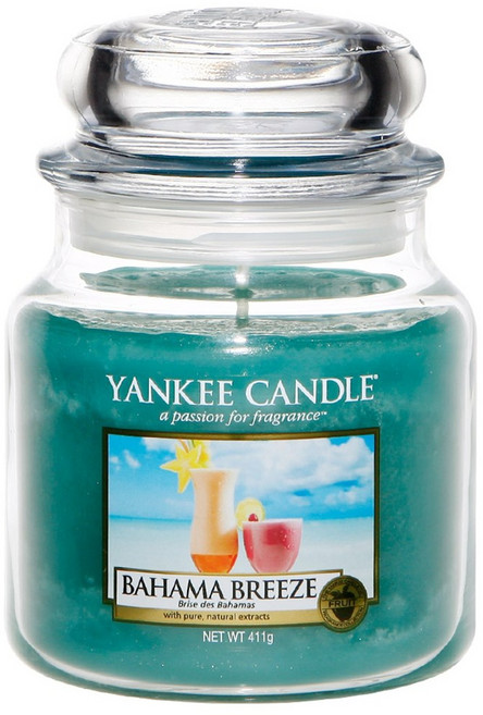 바하마브리즈 자캔들 411g 양키캔들 하우스워머 병향초 미디엄, 1개