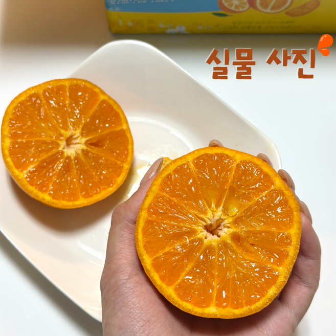 달콤 새콤 최강자 제주 카라향 중소과 초특가, 1박스, 가정용 중소혼합과 2kg