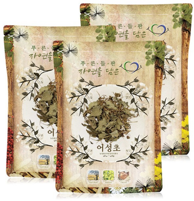 푸른들판 국내산 건조 어성초 약모밀, 100g, 3개
